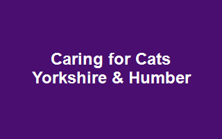 Caring for Cats Yorkshire & Humber
