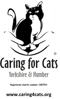 Caring for Cats Yorkshire & Humber