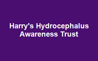Harry's Hydrocephalus Awareness Trust
