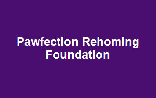 Pawfection Rehoming Foundation
