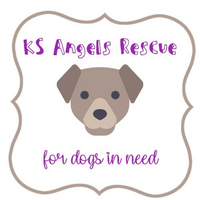 KS Angels Rescue