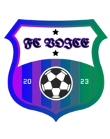 VOICEINTHECOMMUNITY C.I.C