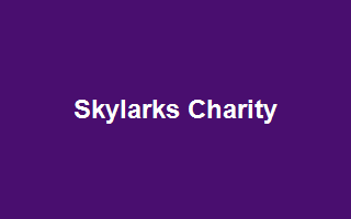 Skylarks Charity