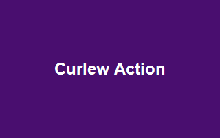 Curlew Action
