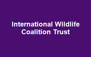 International Wildlife Coalition Trust