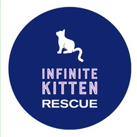 Infinite Kitten Rescue