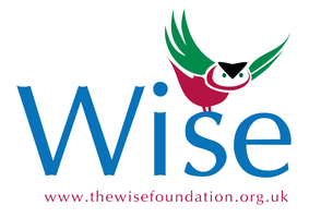 The Wise Foundation