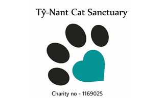 Ty Nant Cat Sanctuary