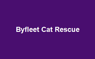 Byfleet Cat Rescue
