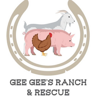 Gee Gees Ranch & Rescue CIC