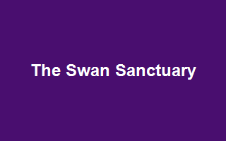The Swan Sanctuary