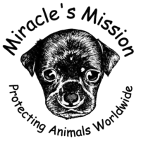 Miracle's Mission