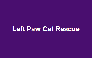 Left Paw Cat Rescue