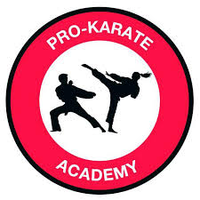 Pro-Karate Academy
