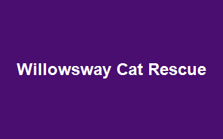 Willowsway Cat Rescue