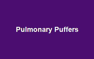 Pulmonary Puffers