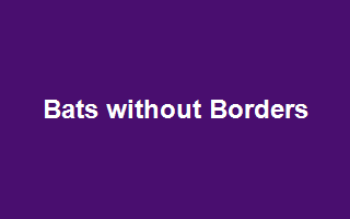 Bats Without Borders