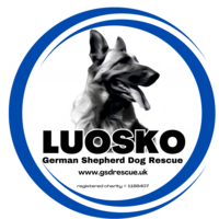 LUOSKO German Shepherd Dog Rescue