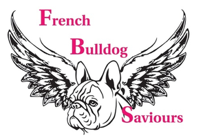The French Bulldog Saviours