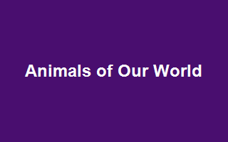 Animals of Our World