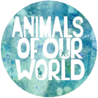 Animals of Our World