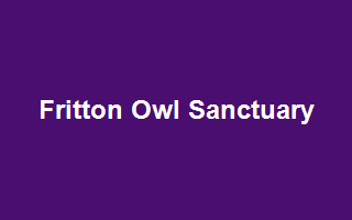 Fritton Owl Sanctuary