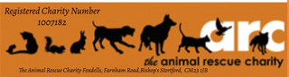 The Animal Rescue Charity