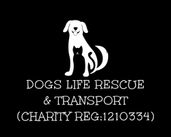 Dogs Life Rescue & Transport