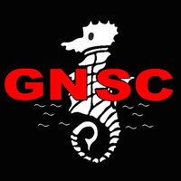 Gravesend Swimming Logo